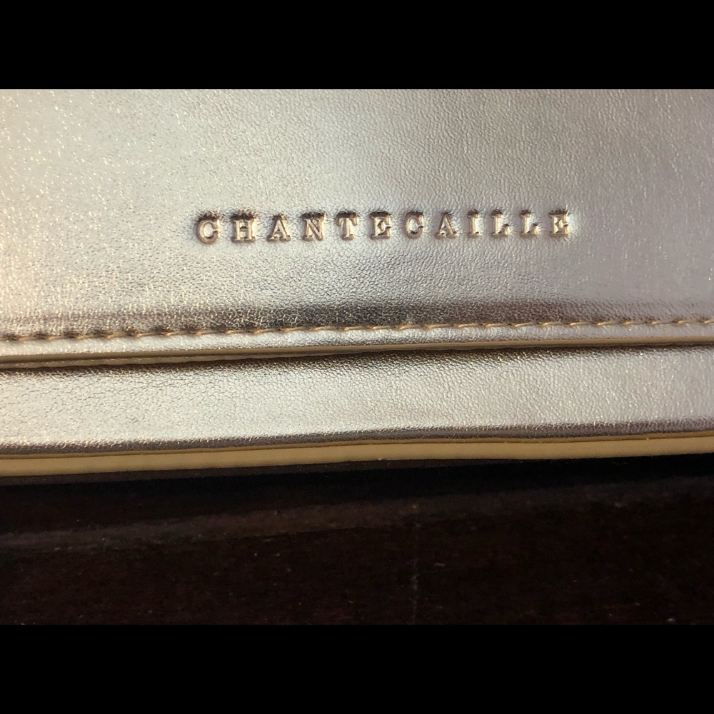 Gorgeous Chantecaille Gold clutch snap closing 4 1/2 X 8 inches. Unused